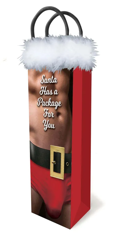 Little Genie Santa Has a Big Package for You Dildos
