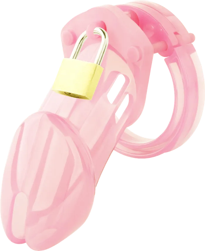 BEBUZZED Bebuzzed Penis Cage Chastity Device Kit Large Male Sex Toys
