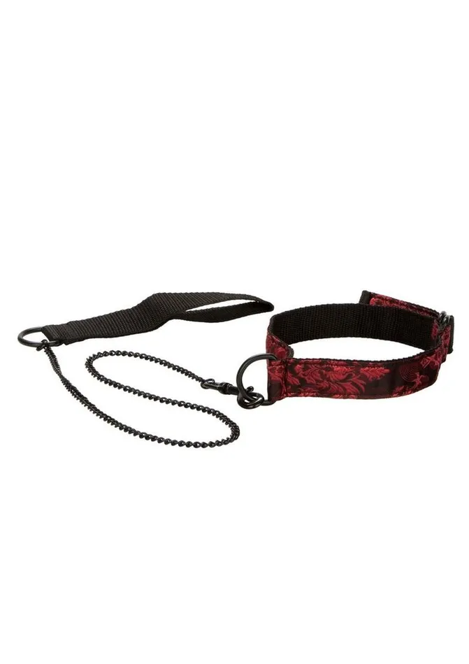 Couples Scandal Scandal Submissive Kit Couples Scandal Scandal Submissive Kit