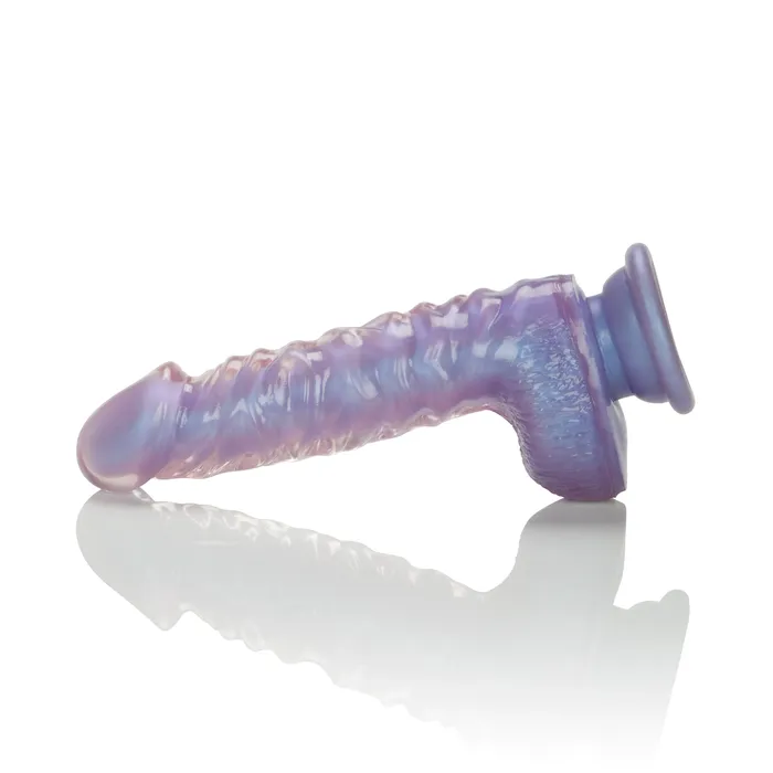 Dildos CalExotics Crystal Cote 7 Dildo w Suction Cup