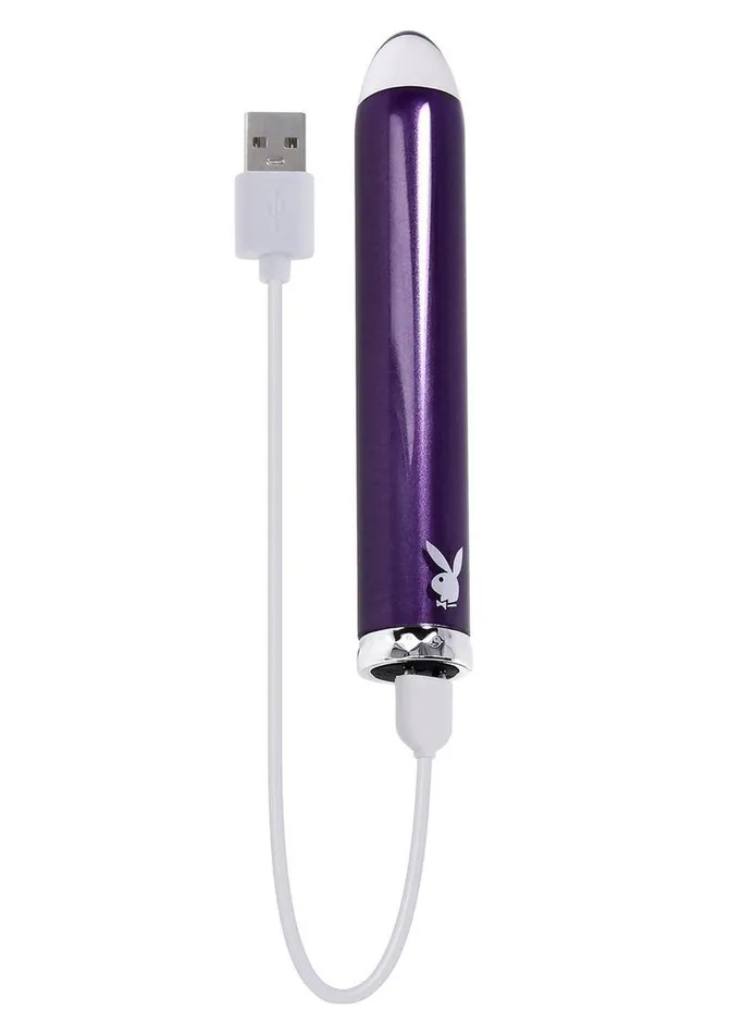 Female Sex Toys Playboy Playboy Amethyst Rechargeable Silicone Vibrator