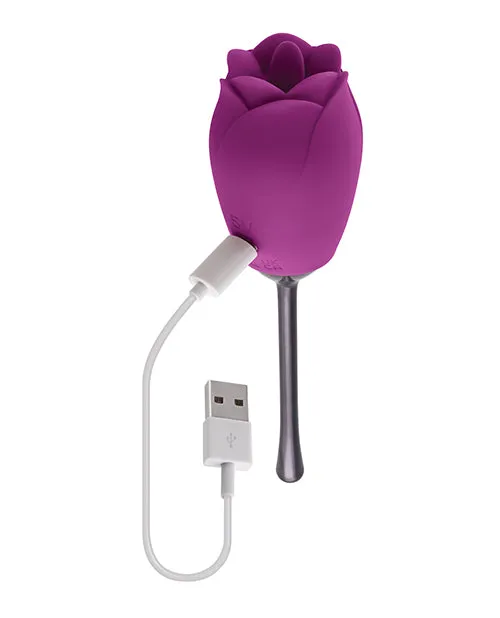Female Sex Toys Playboy Pleasure Petal Vibrator Wild Aster Evolved Novelties INC