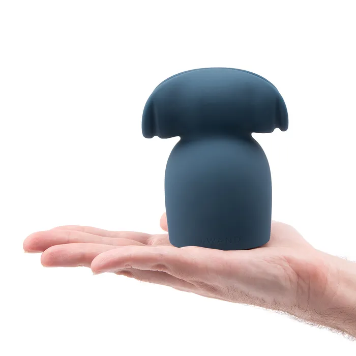Le Wand Le Wand Stroke Silicone Penis Play Attachment Female Sex Toys