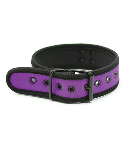 Vibrators Plesur Neoprene Puppy Collar Purple S G Entertainment Plesur B